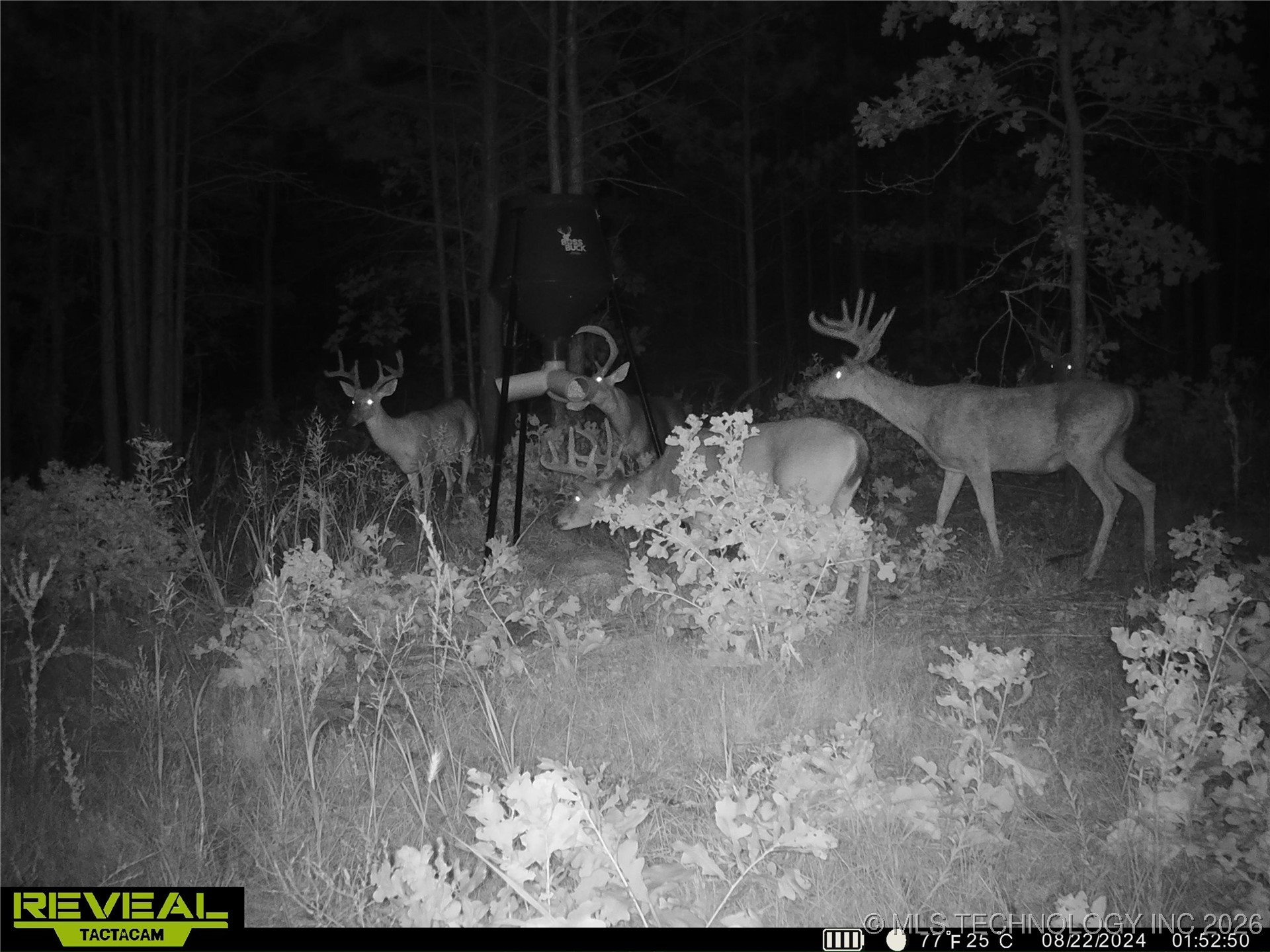 County Road 3885 Coalgate OK 74538