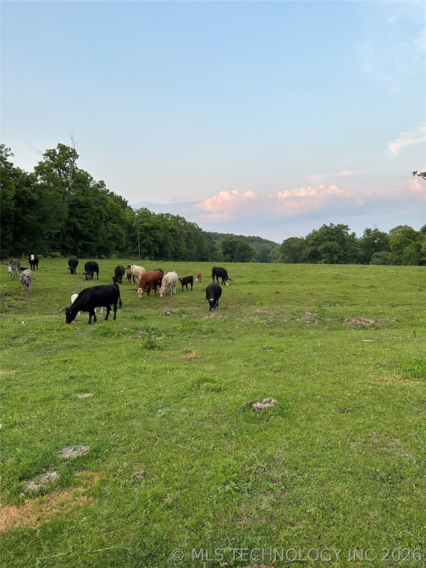15060 County Road 573 Kansas OK 74347