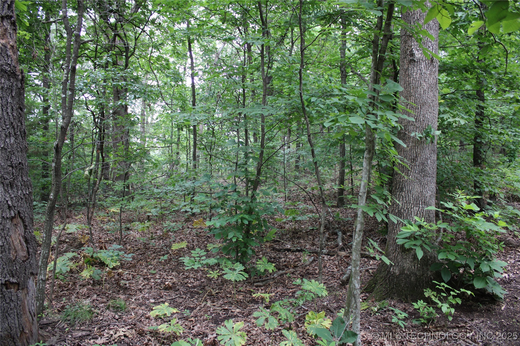 0000 S 637 Road Quapaw OK 74363