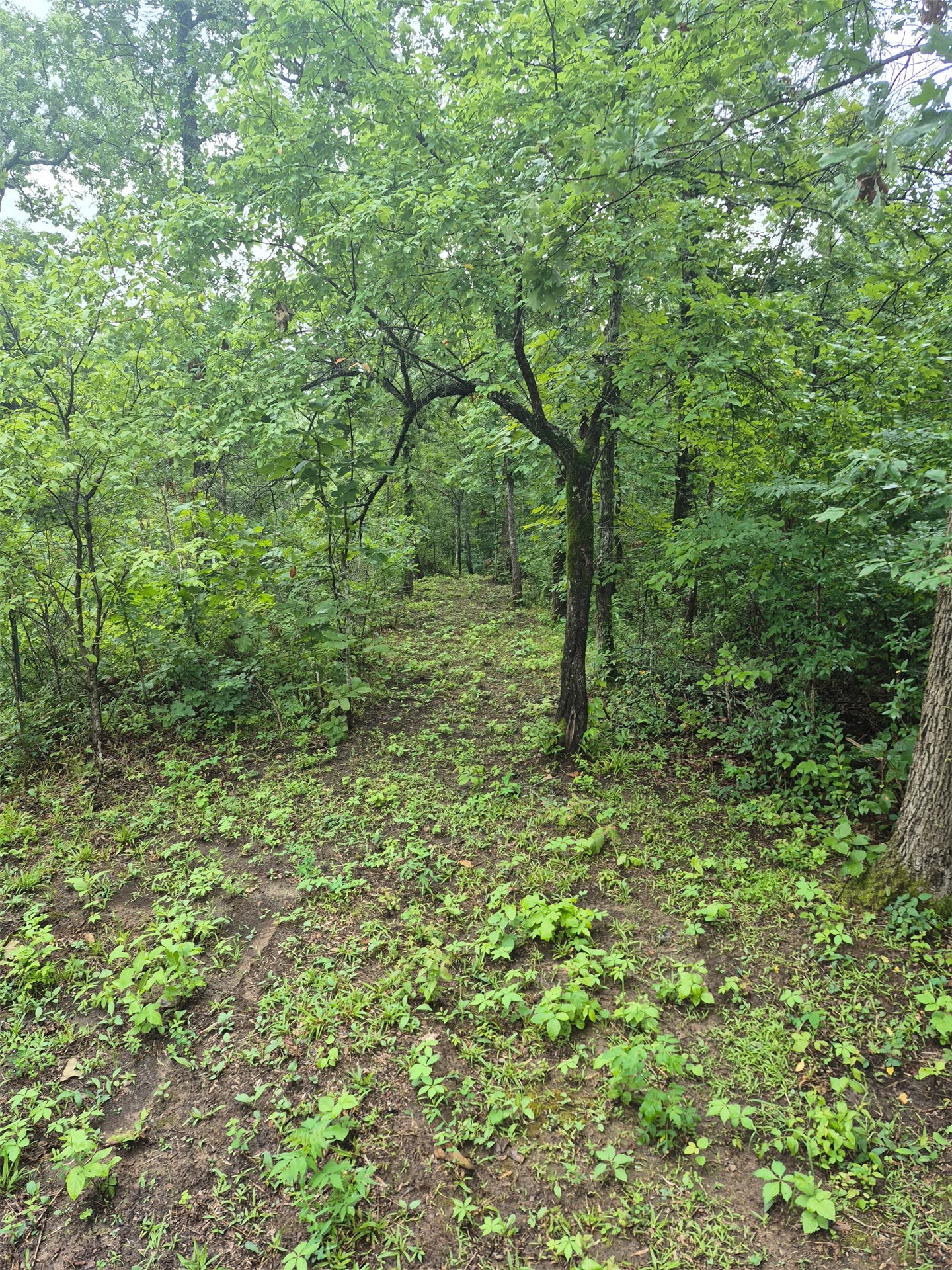 S 4535 Road Vian OK 74962