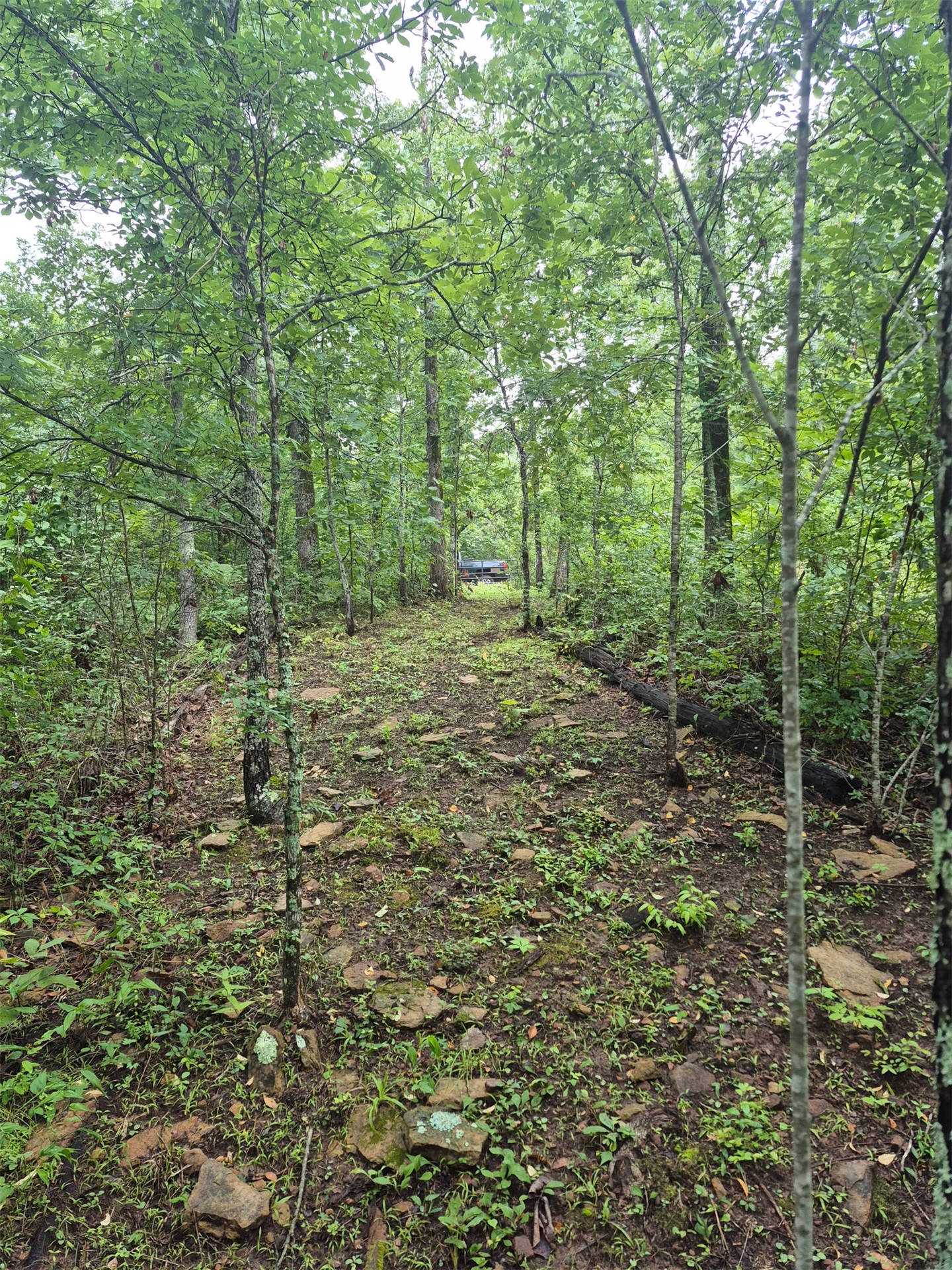 S 4535 Road Vian OK 74962