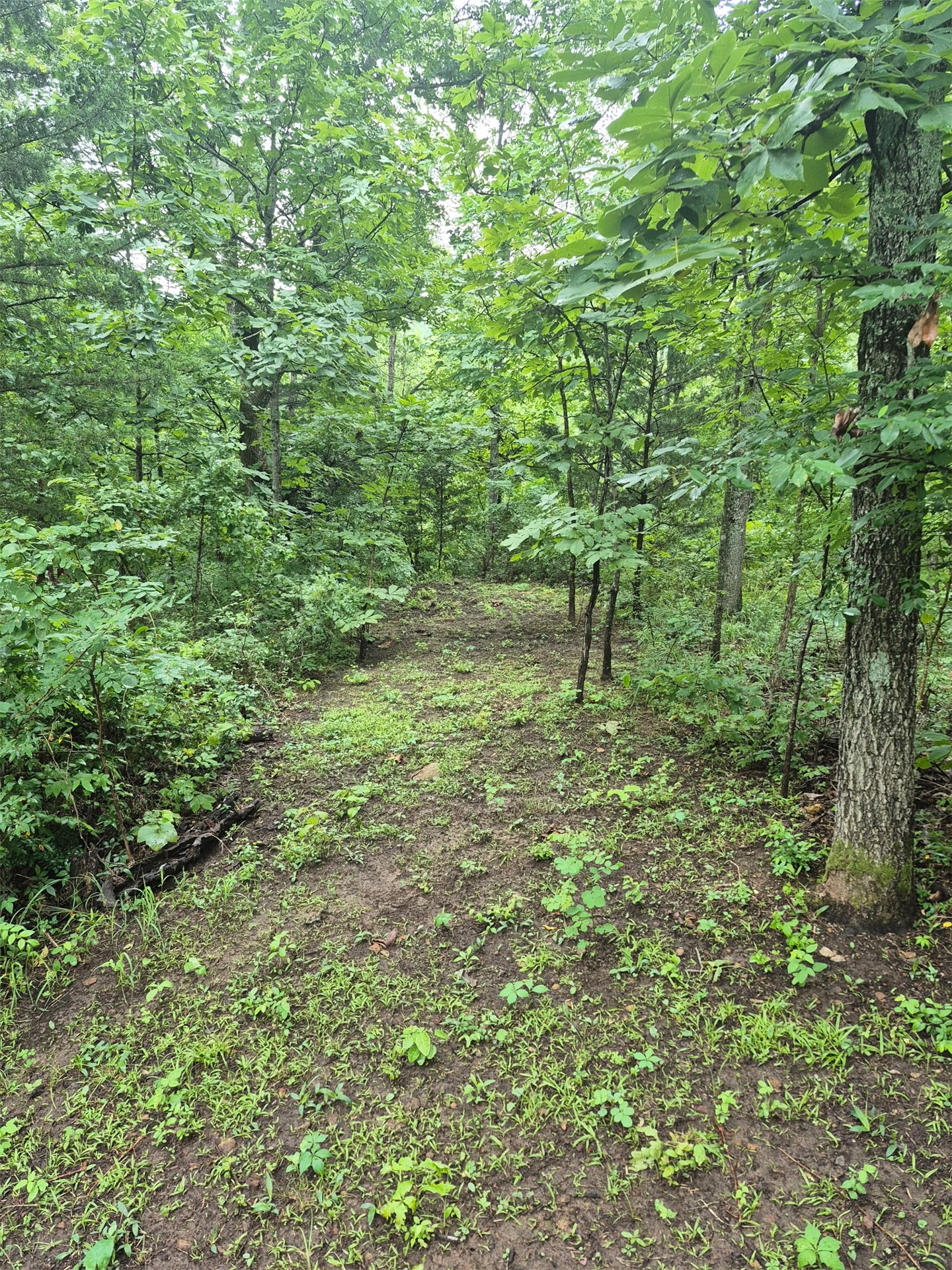 S 4535 Road Vian OK 74962