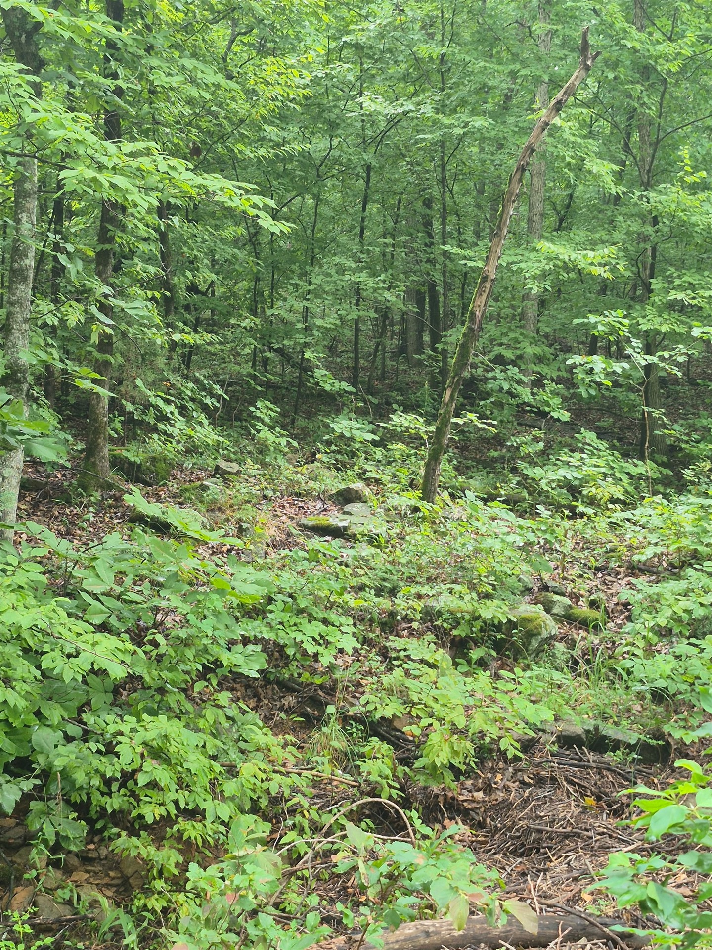 S 4535 Road Vian OK 74962