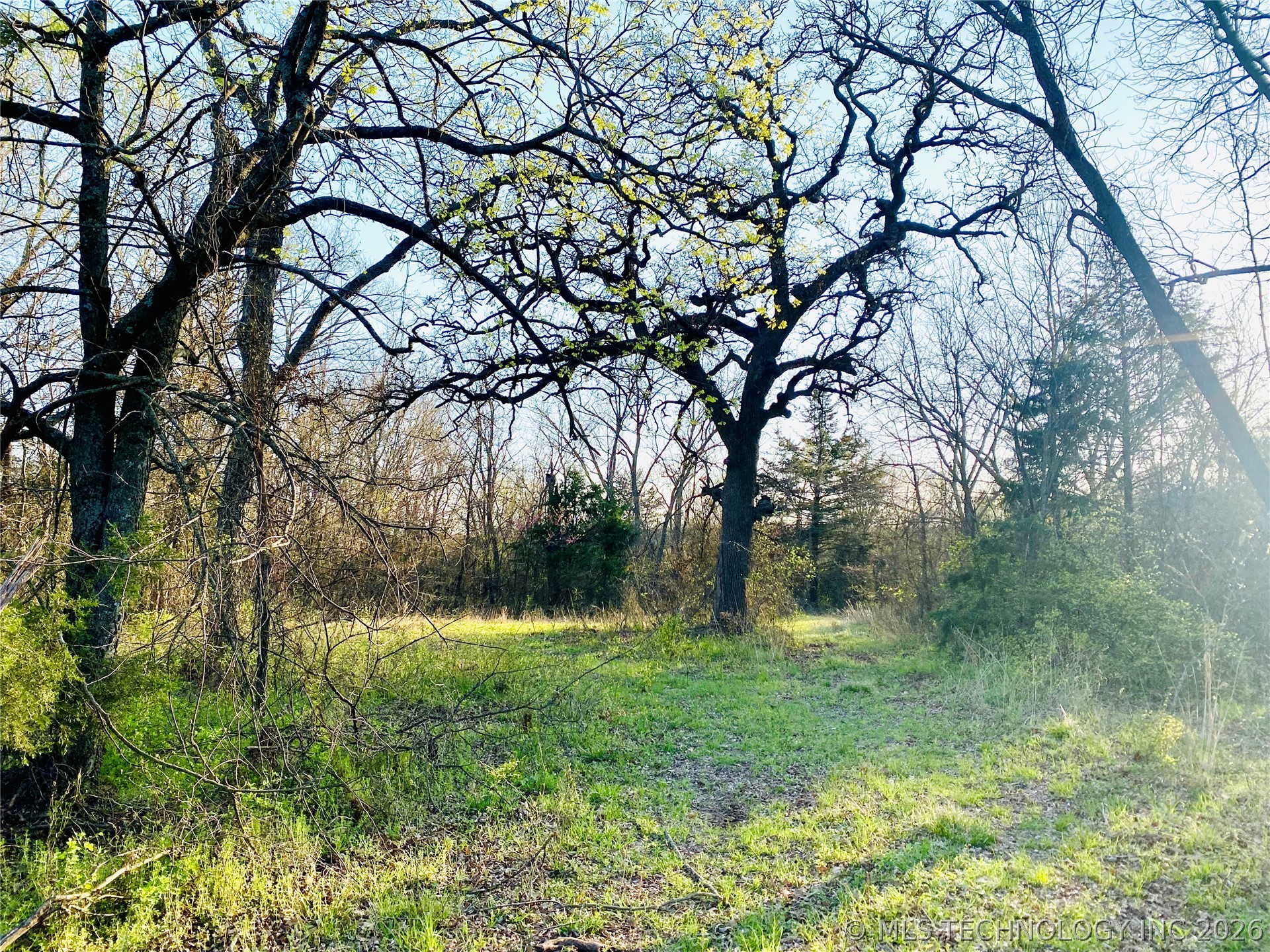 9597 Myall Lone Grove OK 73443