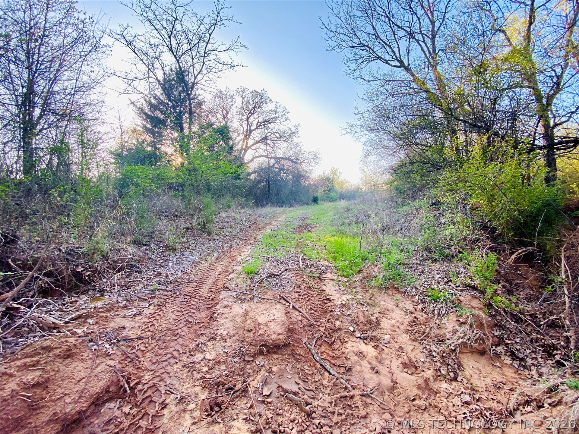 9597 Myall Lone Grove OK 73443
