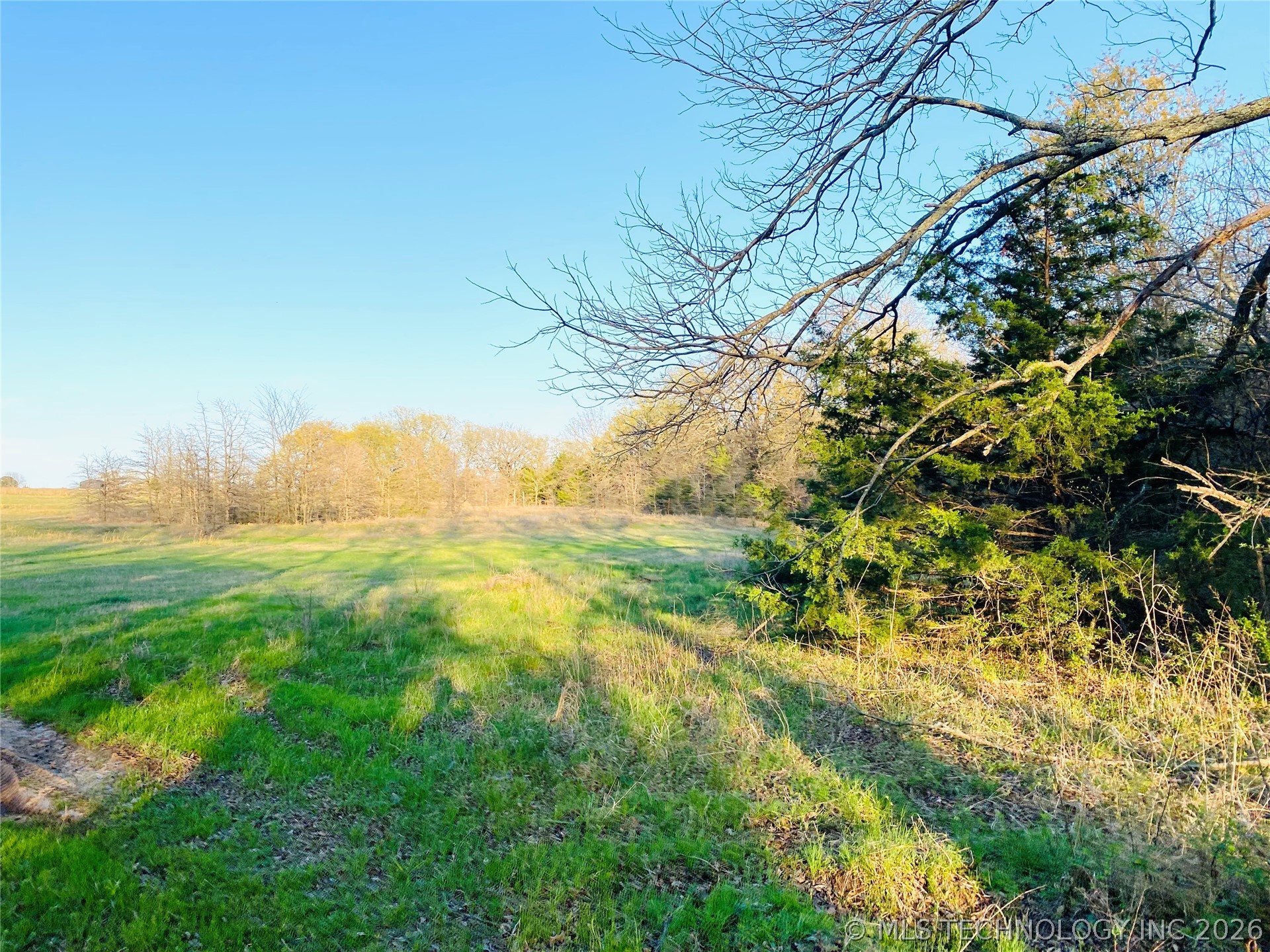9597 Myall Lone Grove OK 73443