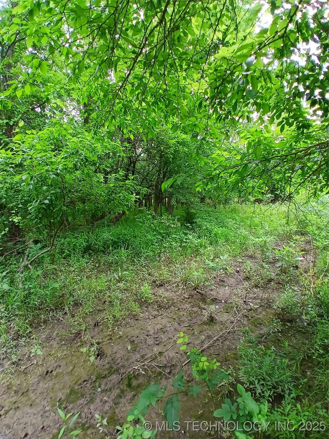 Lynn Lane Eufaula OK 74432