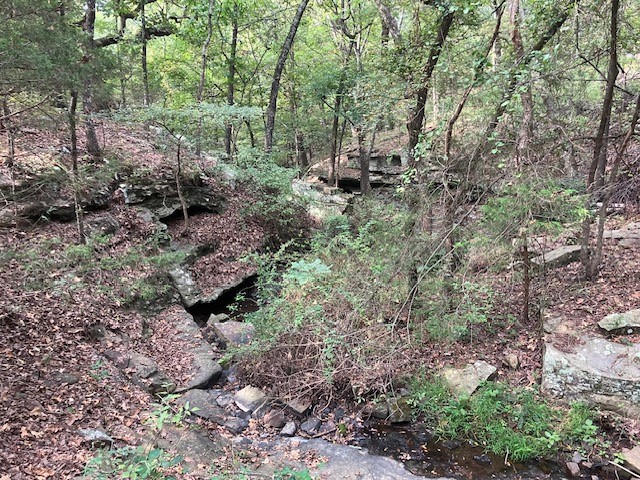 10 S Big Hollow Road Park Hill OK 74451