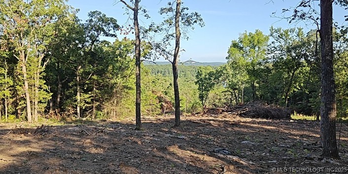 21595 W 888 Road Cookson OK 74427