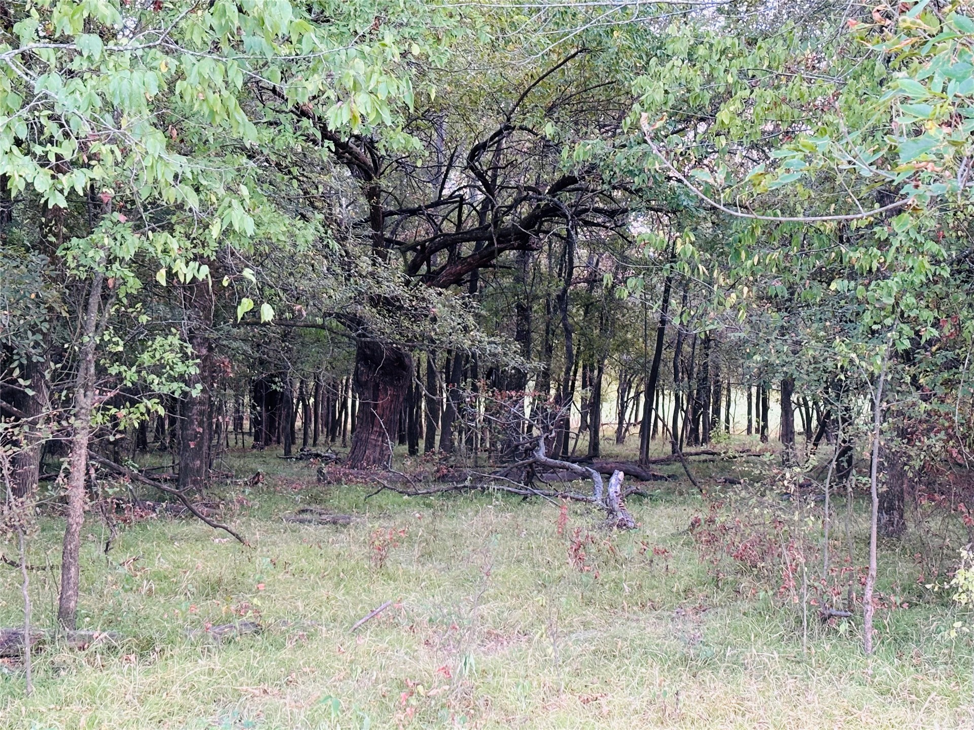 166 N 4084 Road Soper OK 74759