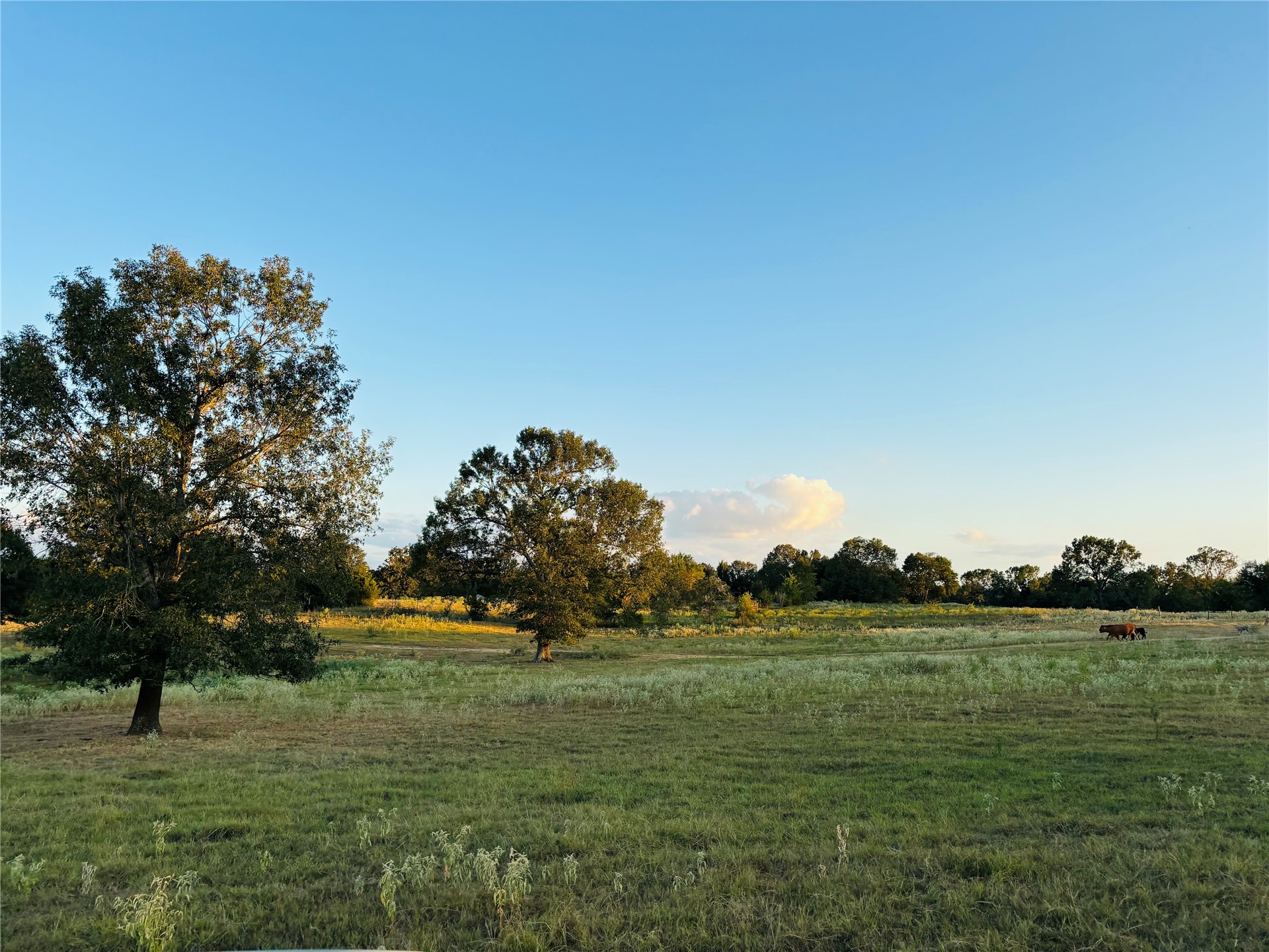 166 N 4084 Road Soper OK 74759