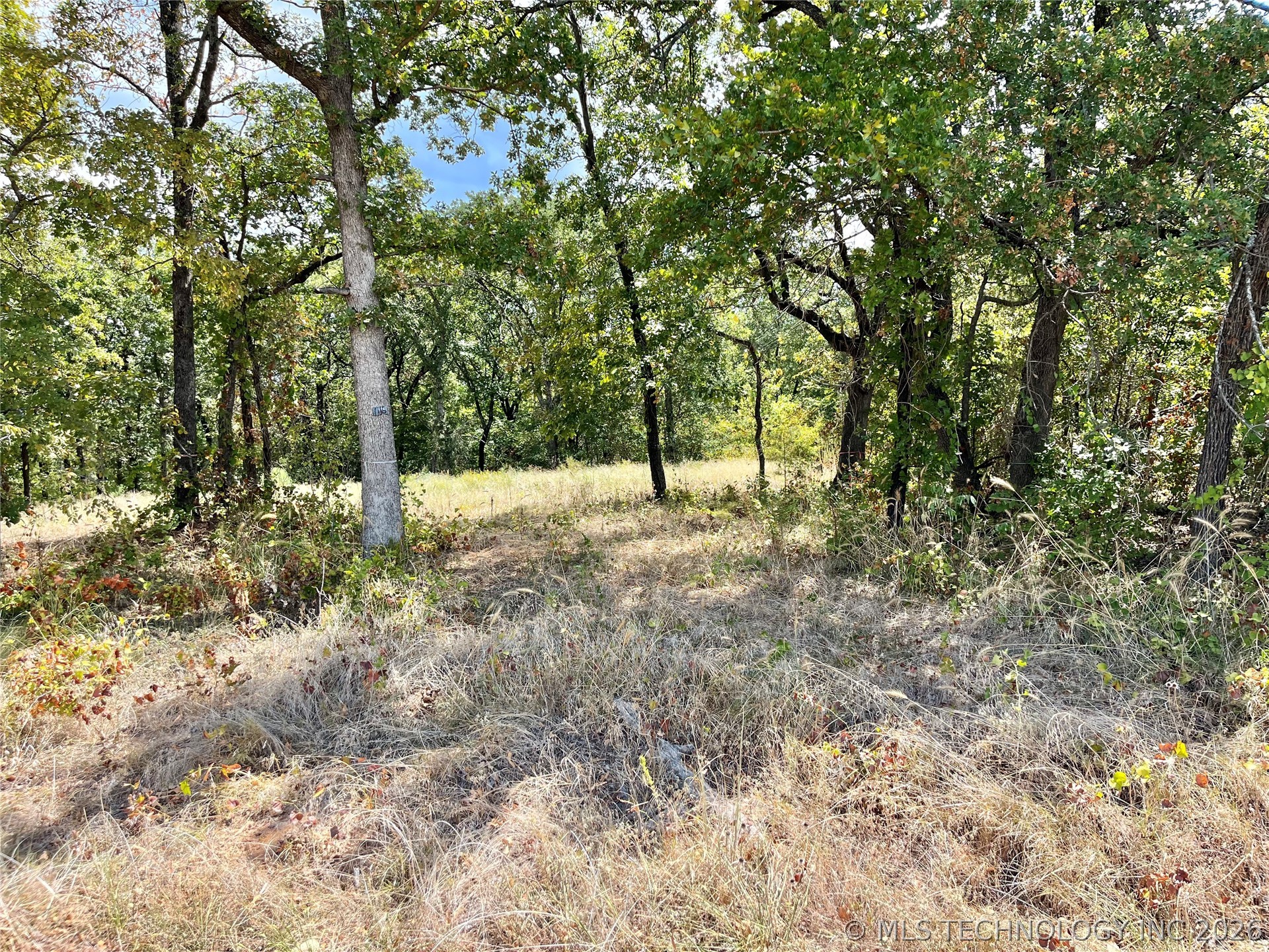Texoma Park Road Kingston OK 73439
