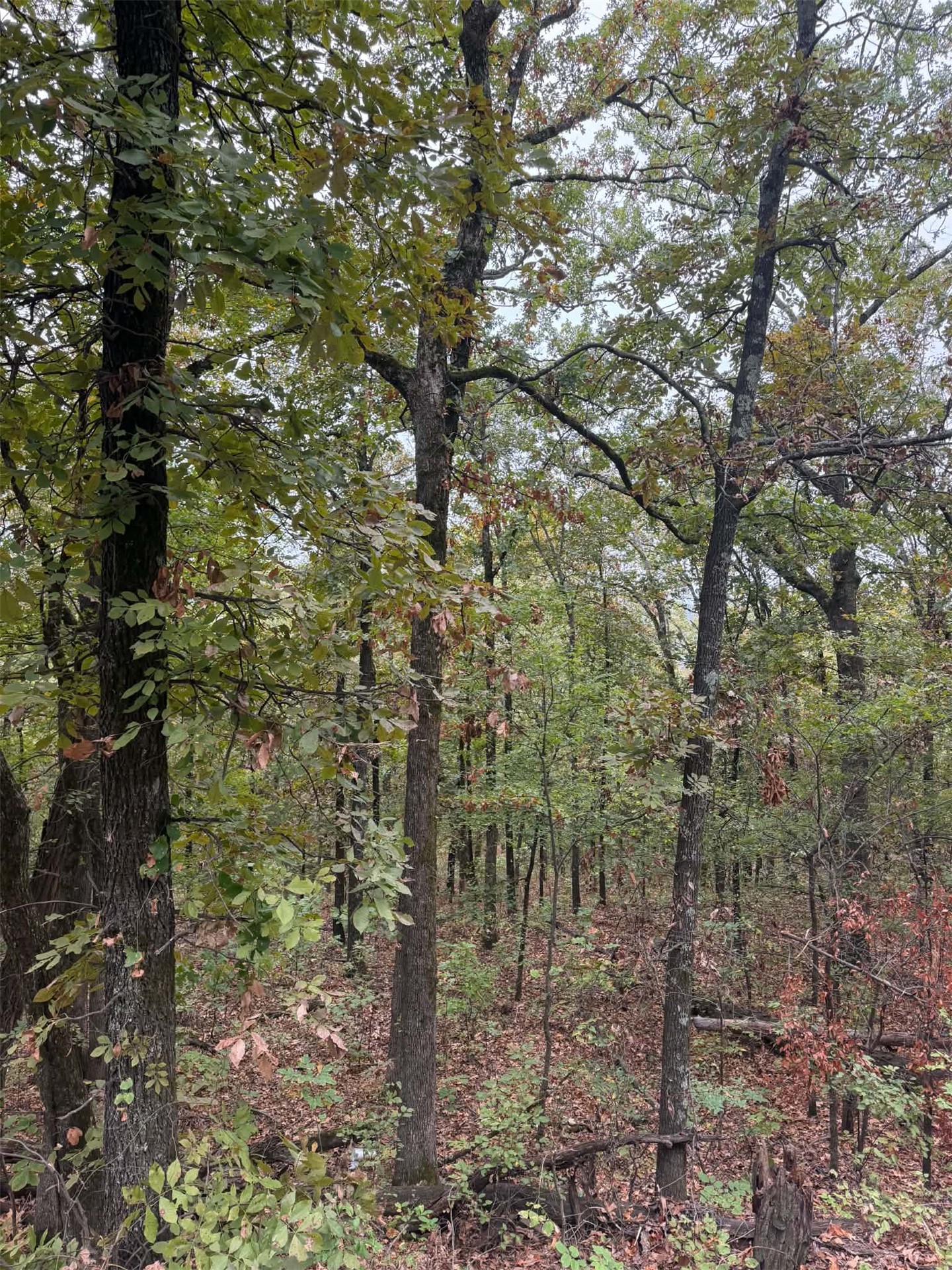 000 Big Rock Road Park Hill OK 74451