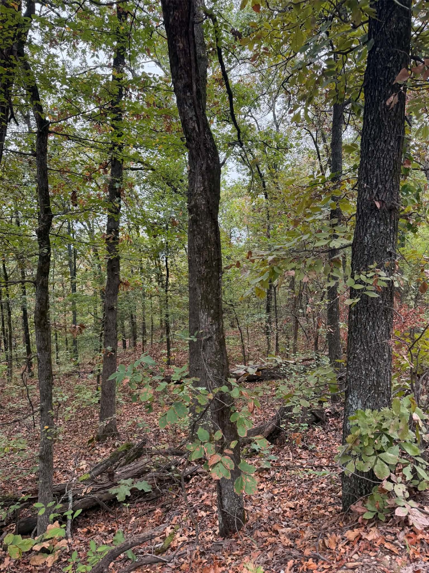 000 Big Rock Road Park Hill OK 74451