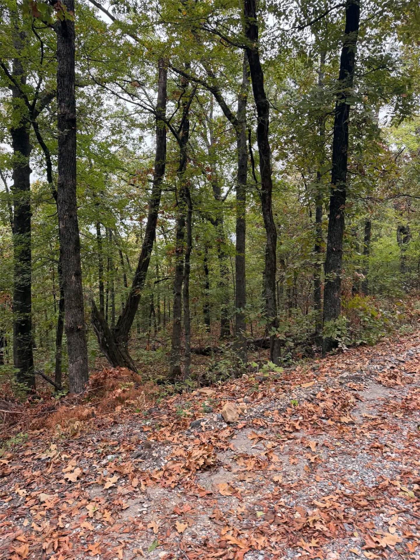 000 Big Rock Road Park Hill OK 74451