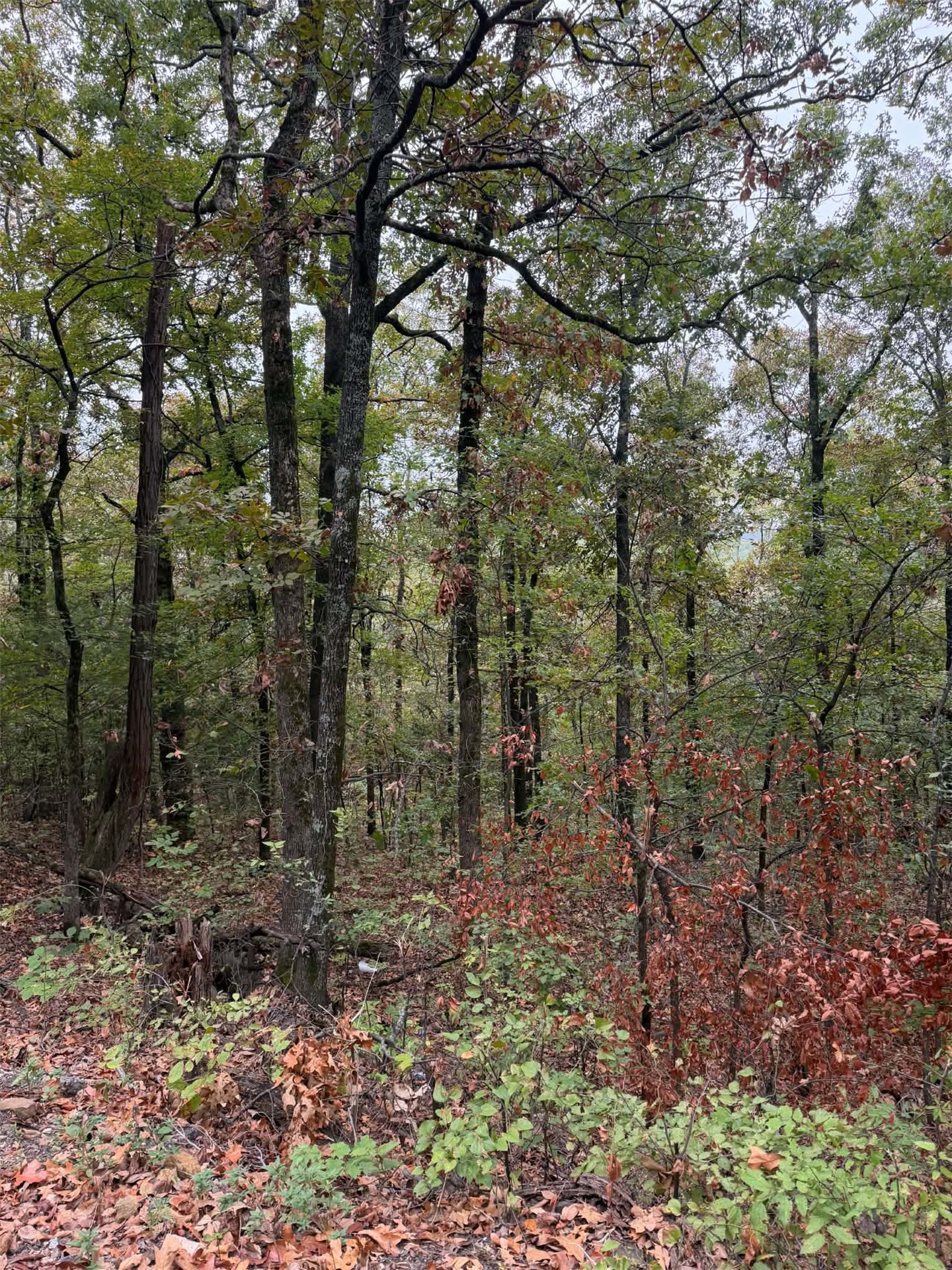 000 Big Rock Road Park Hill OK 74451