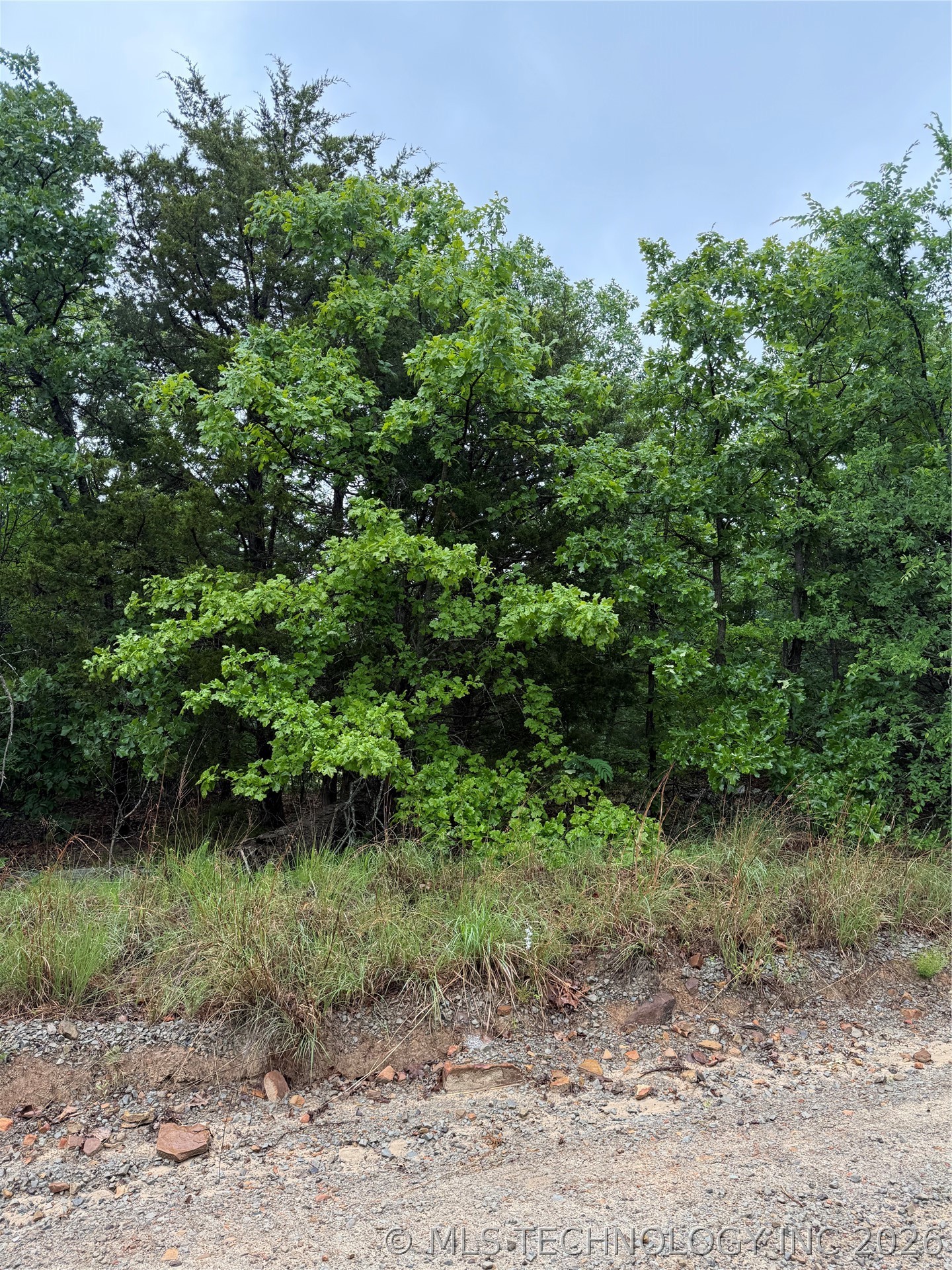 Bus Loop Eufaula OK 74432