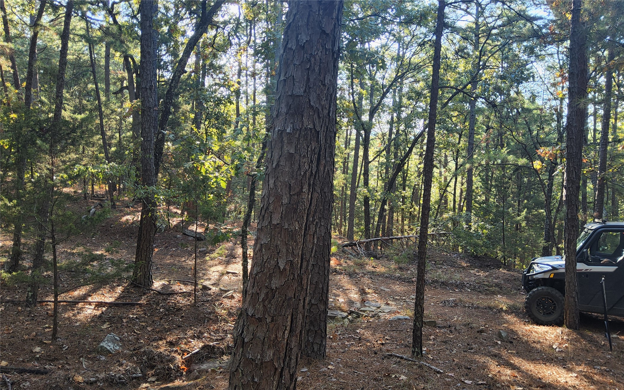 Kimbrough Creek Road Moyers OK 74557