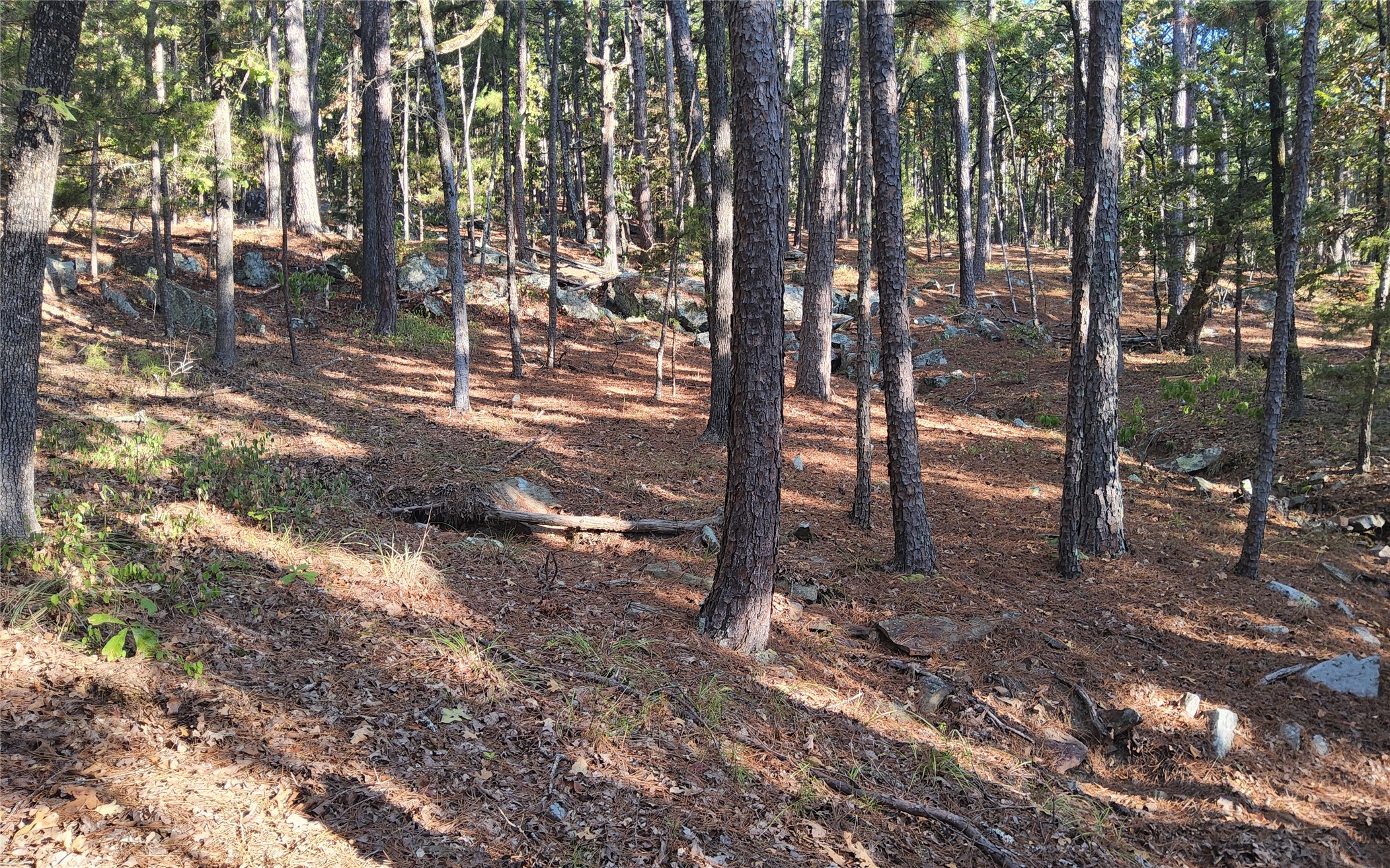 Kimbrough Creek Road Moyers OK 74557
