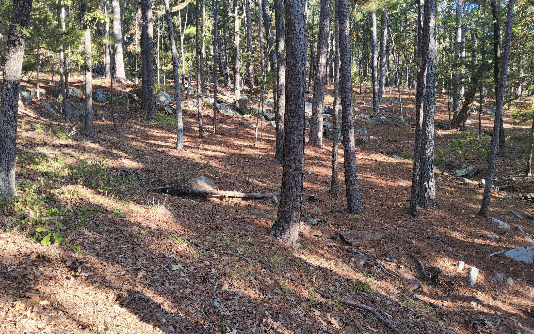 Kimbrough Creek Road Moyers OK 74557