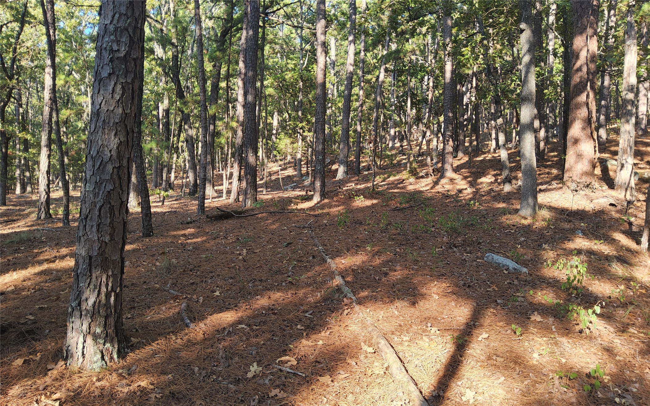 Kimbrough Creek Road Moyers OK 74557
