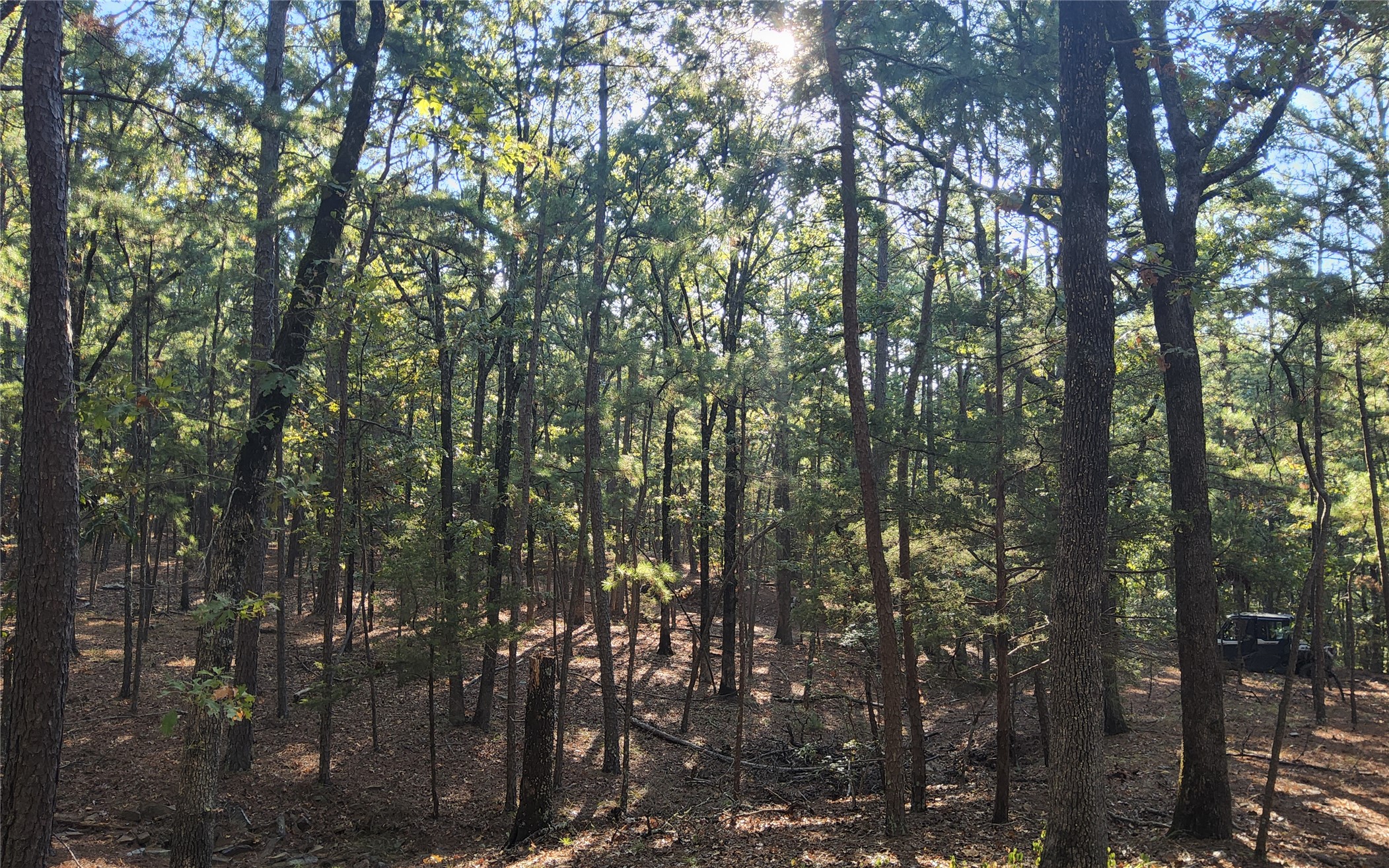 Kimbrough Creek Road Moyers OK 74557