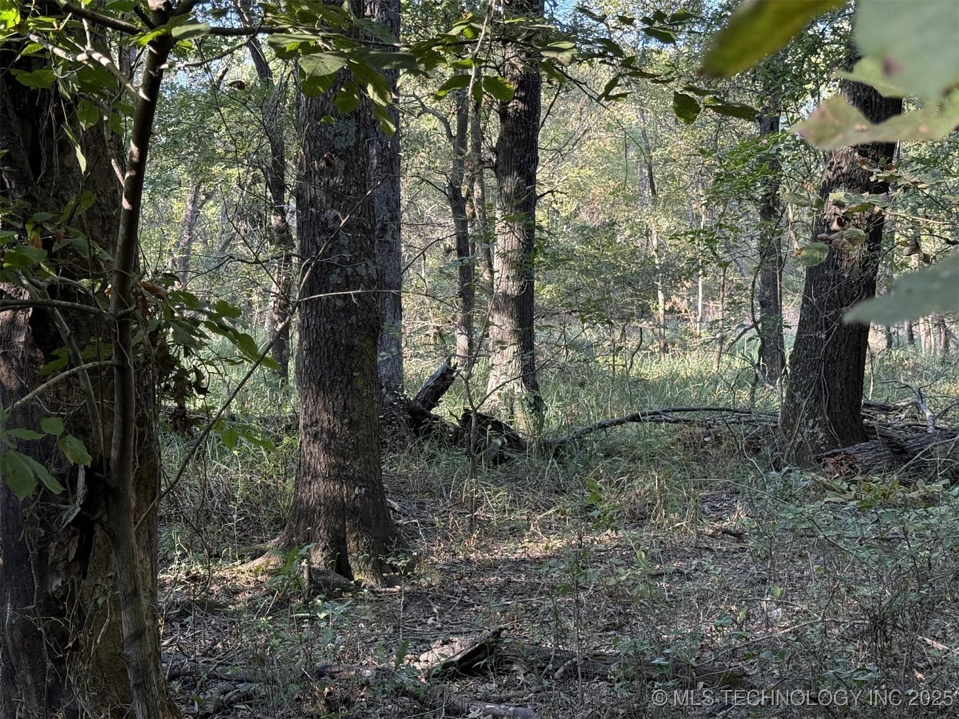 Rural Route Mccurtain OK 74944