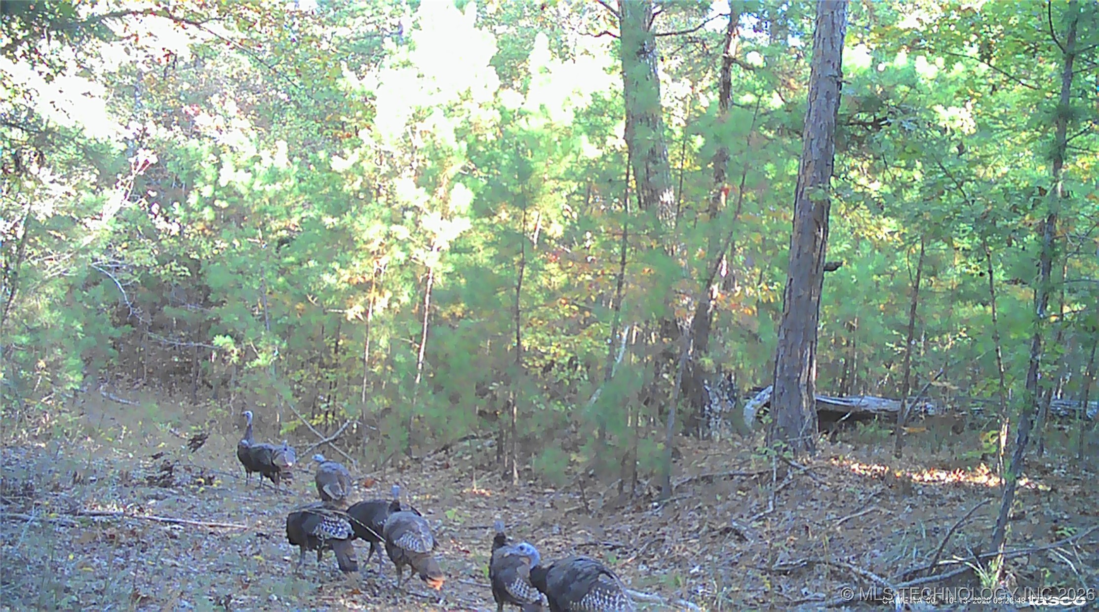00 N Garland Trail N Nashoba OK 74558