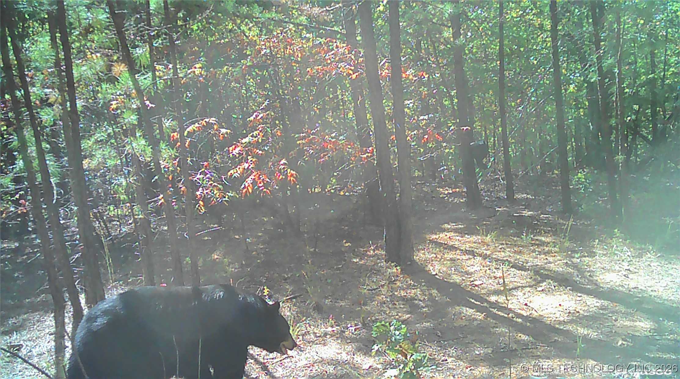 00 N Garland Trail N Nashoba OK 74558