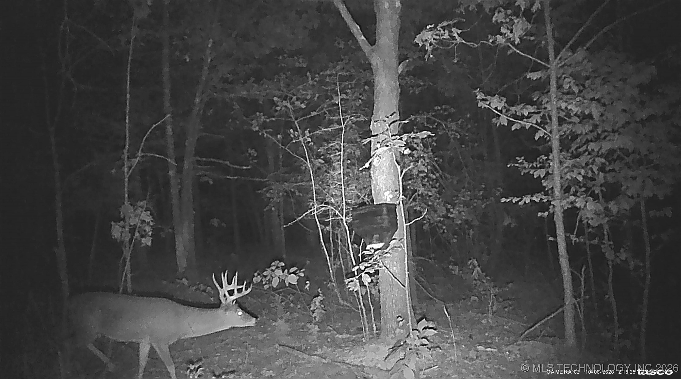 00 N Garland Trail N Nashoba OK 74558
