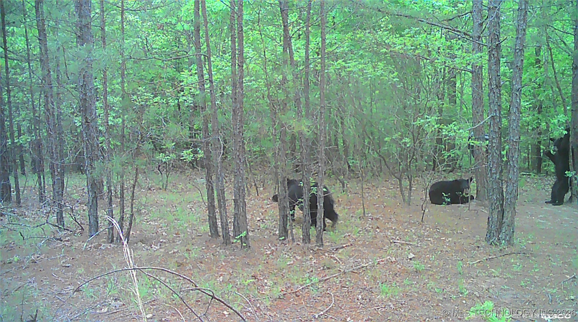 00 N Garland Trail N Nashoba OK 74558