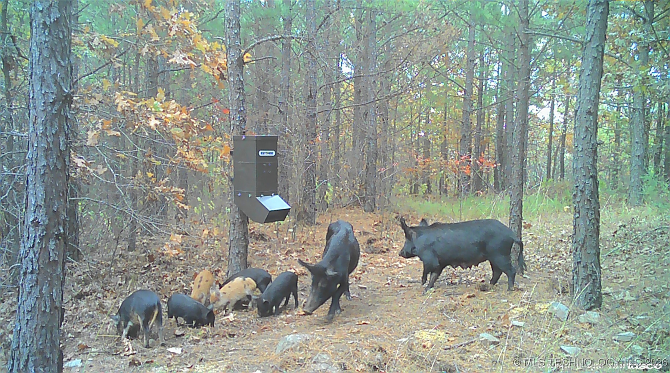 00 N Garland Trail N Nashoba OK 74558