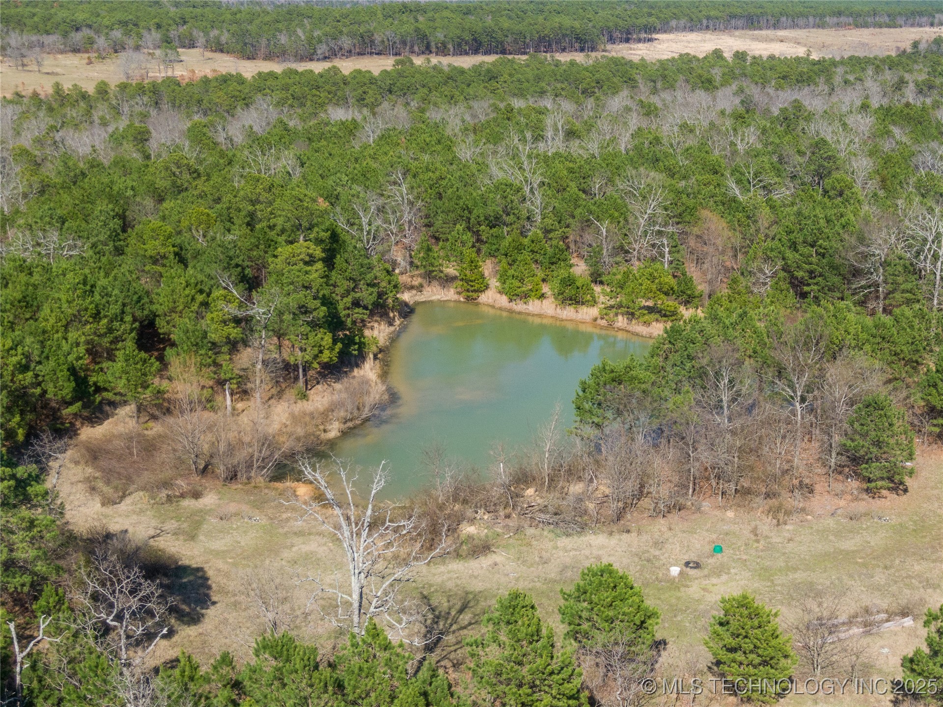 E 1860 Road Moyers OK 74557
