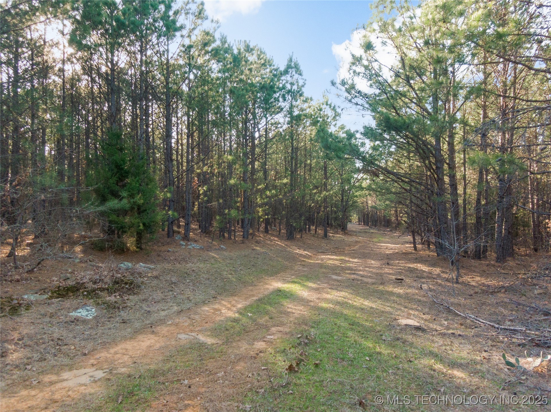 E 1860 Road Moyers OK 74557