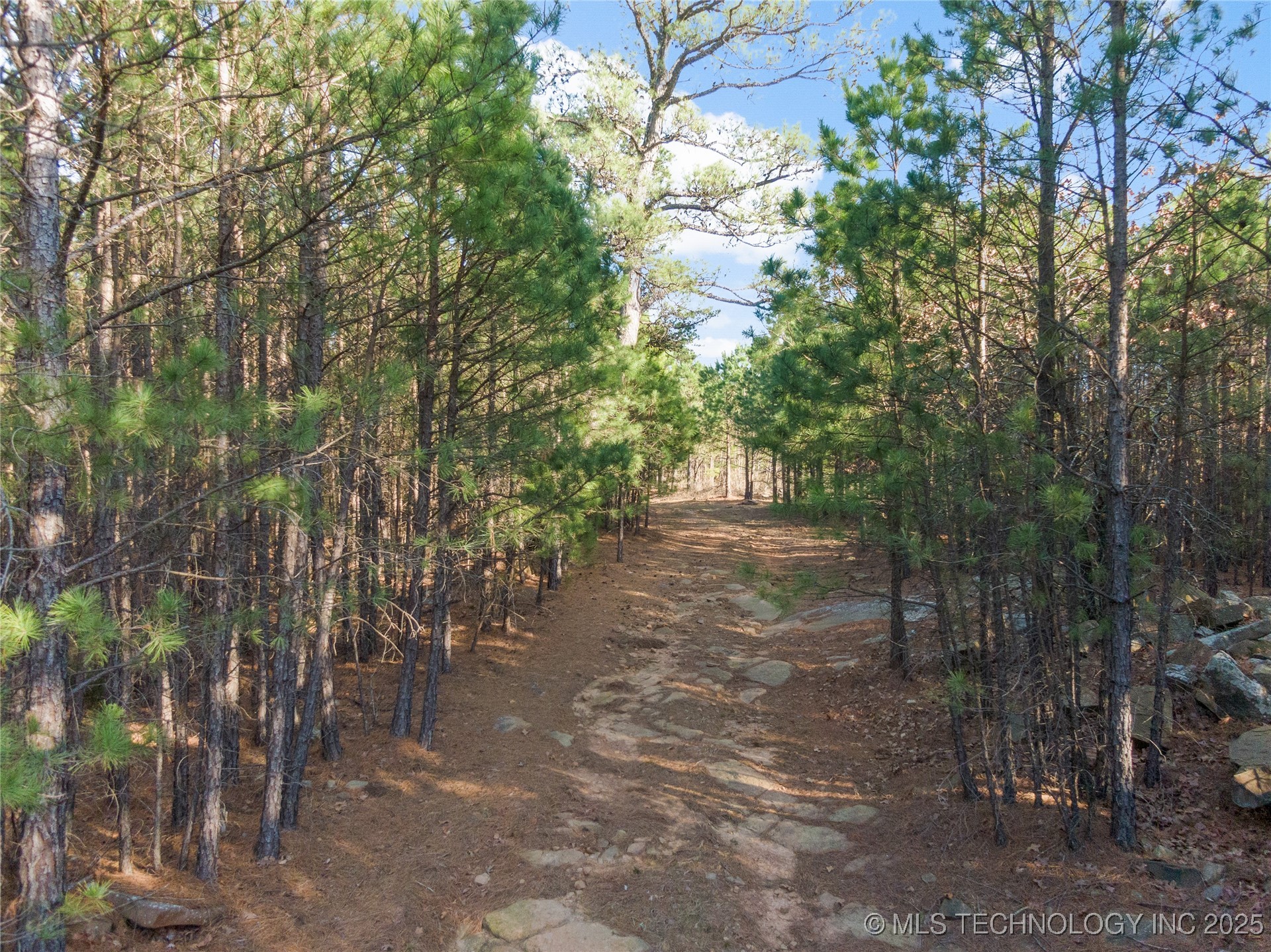 E 1860 Road Moyers OK 74557