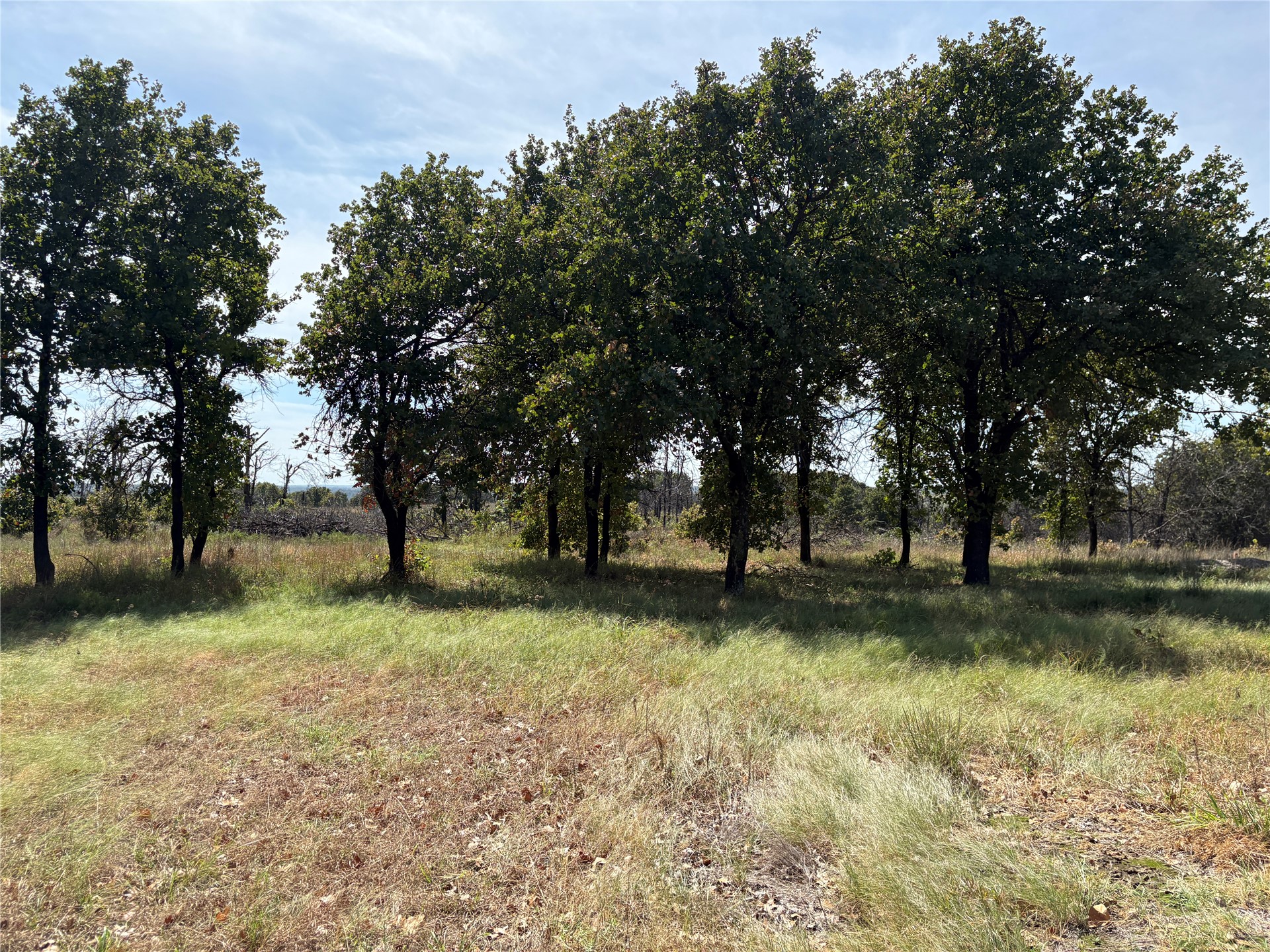 Highway 123 Bartlesville OK 74003