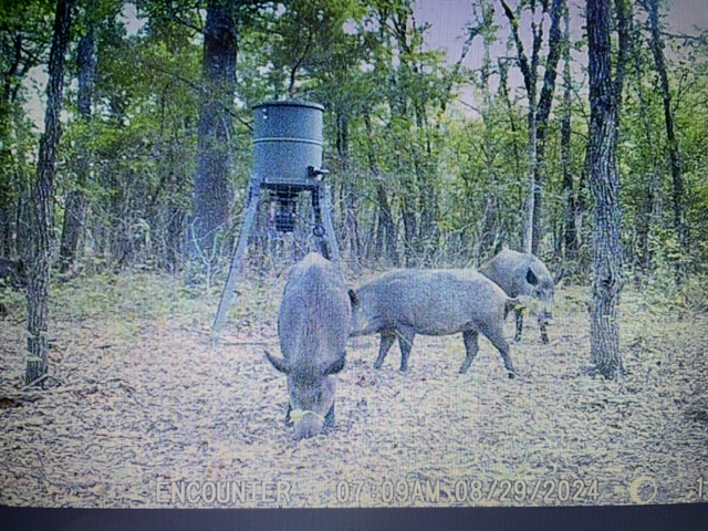 0000 E County Road 1610 Stratford OK 74872