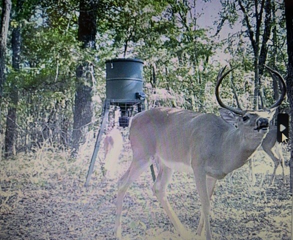 0000 E County Road 1610 Stratford OK 74872