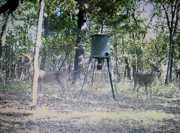 0000 E County Road 1610 Stratford OK 74872