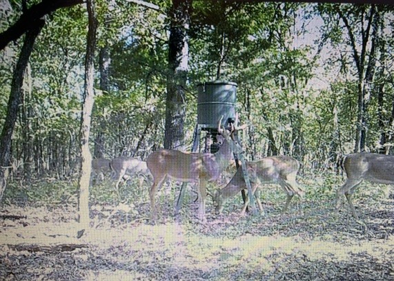 0000 E County Road 1610 Stratford OK 74872