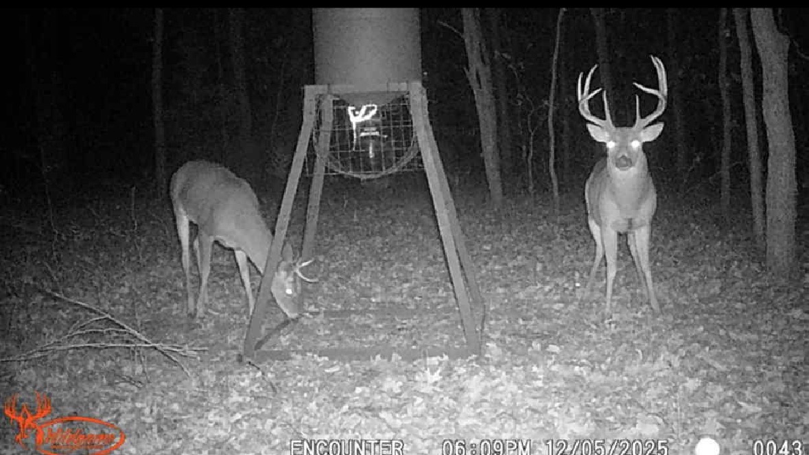0000 E County Road 1610 Stratford OK 74872