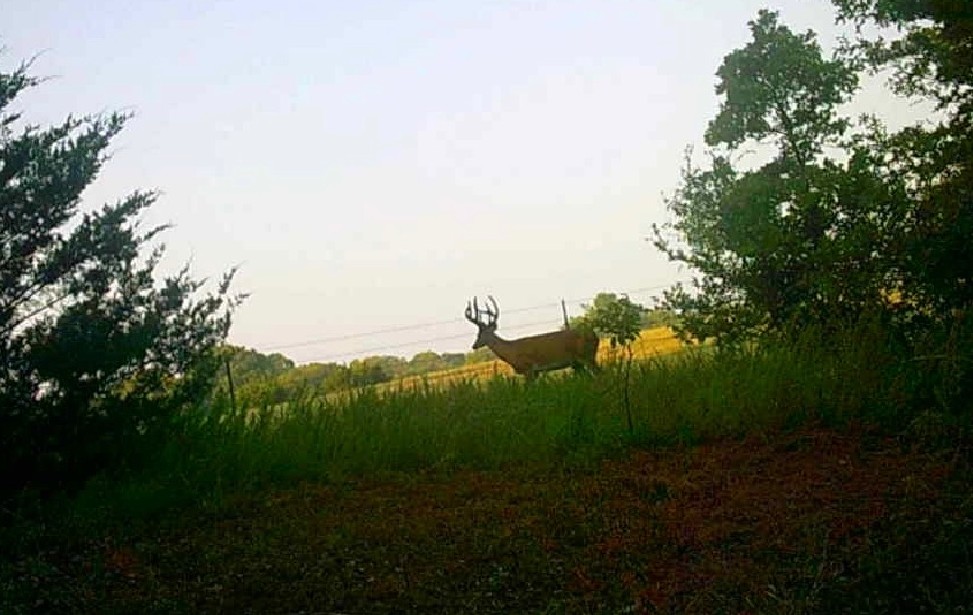 0000 E County Road 1610 Stratford OK 74872