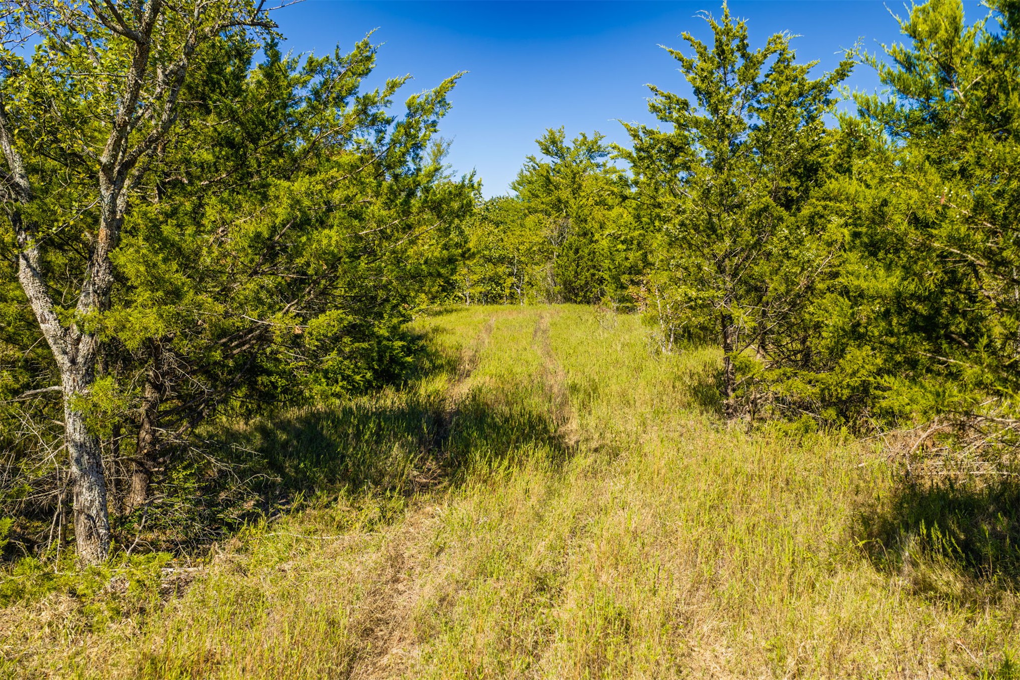5 Turkey Pen Hollow Road Henryetta OK 74437