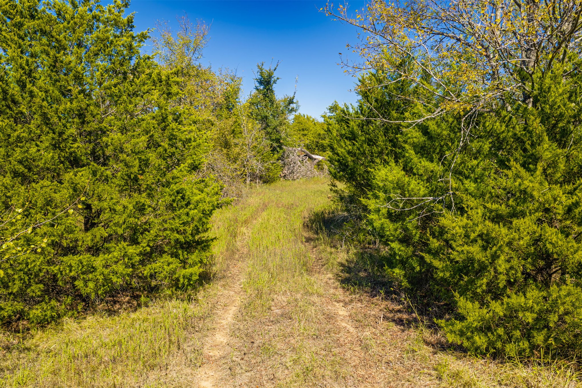 5 Turkey Pen Hollow Road Henryetta OK 74437