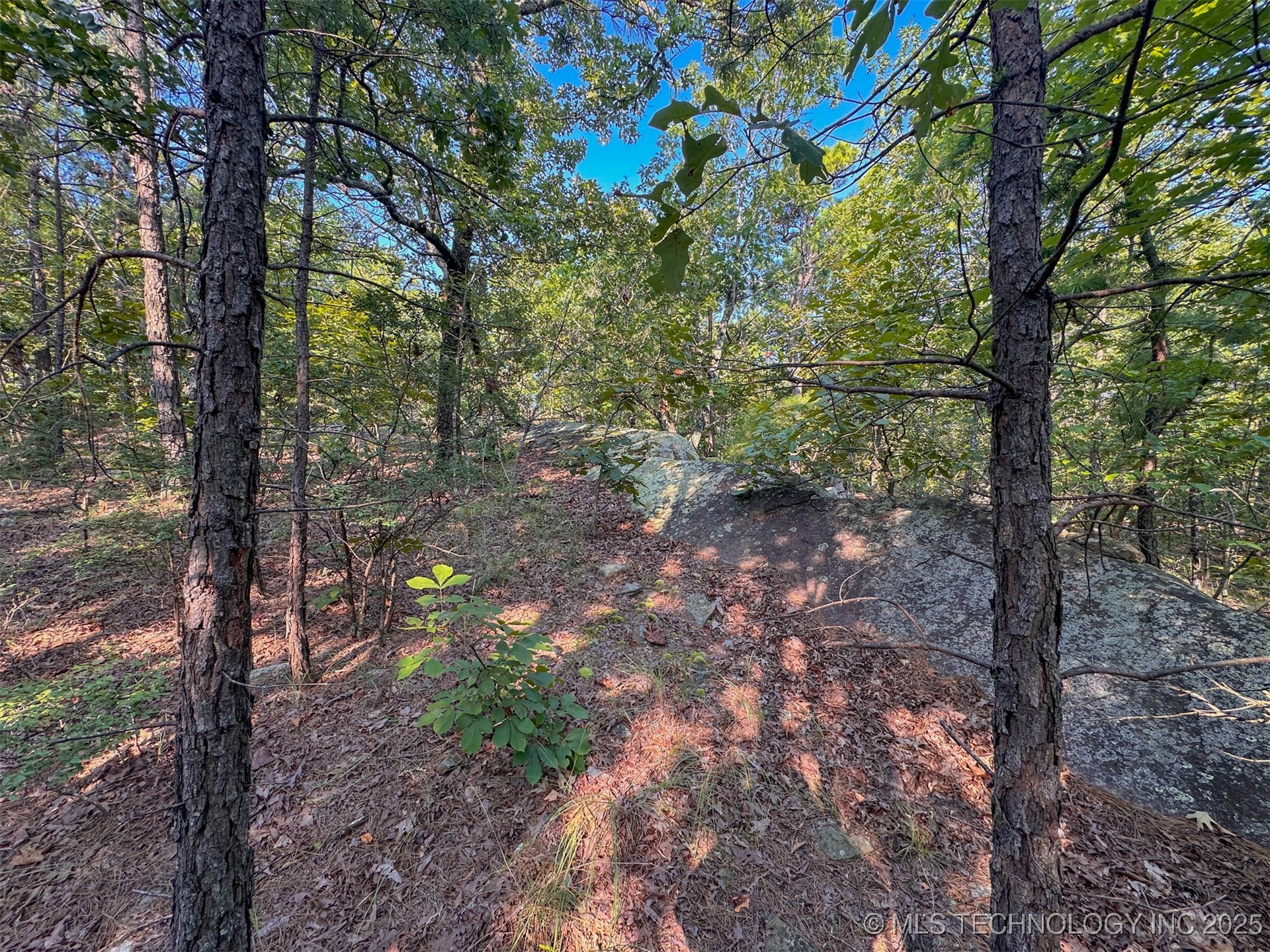 7 Moonshine Drive Clayton OK 74536