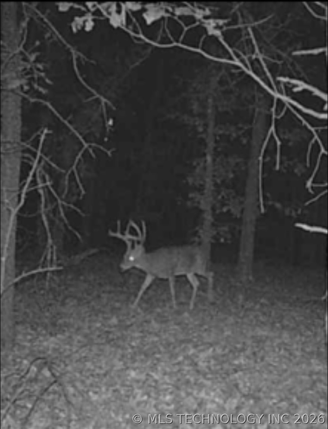 12682 E 540 Kansas OK 74347