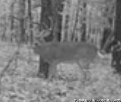 12682 E 540 Kansas OK 74347