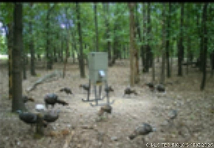 12682 E 540 Kansas OK 74347