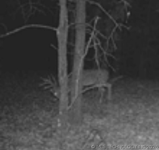 12682 E 540 Kansas OK 74347