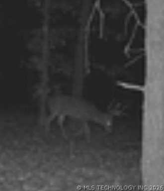 12682 E 540 Kansas OK 74347